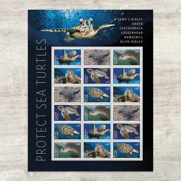 2024 Protect Sea Turtles Forever Stamps – First-Class Postage Sheet