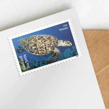 2024 Protect Sea Turtles Forever Stamps – First-Class Postage Sheet
