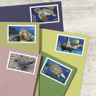 2024 Protect Sea Turtles Forever Stamps – First-Class Postage Sheet