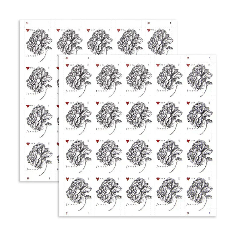 2015 Love Forever Stamp – Engraved Flower Illustration | First-Class Postage Sheet