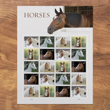 2024 Horses Forever Stamps – First-Class Postage Sheet